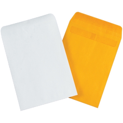 6 x 9" Kraft Redi-Seal Envelopes - 1000/Case