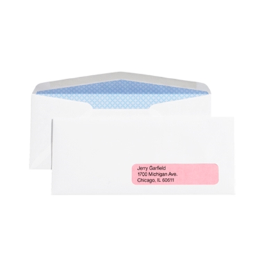 3 7/8 x 8 7/8" - #9 Double Window Gummed Business Envelopes with Security Tint - 2500/Case