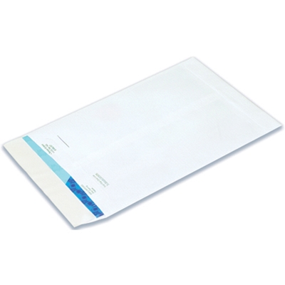 9 x 12" Flat Ship-Lite® Envelopes - 100/Case